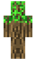 Rabo minecraft skin