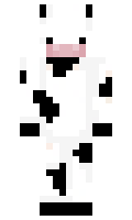 demor minecraft skin