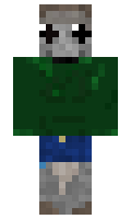 36c5457fa33009 minecraft skin