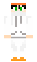 GooseDotMP4 minecraft skin