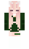 ChewieChoe minecraft skin