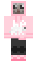 36e9c66647a729 minecraft skin