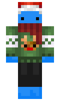 MeneerDePeer minecraft skin