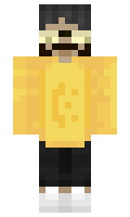 rngtic minecraft skin