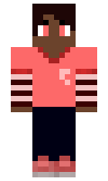 HikariAshes minecraft skin