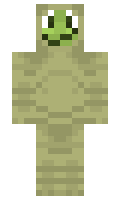 AntiDraws minecraft skin