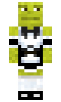 ziingy minecraft skin