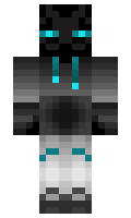 ponquizunited minecraft skin