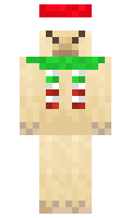 375a750058e097 minecraft skin