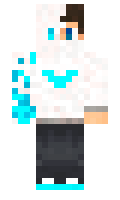 triloqick minecraft skin