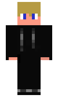 PLads minecraft skin