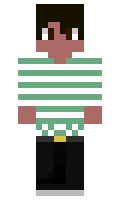 Glasfaser minecraft skin