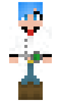 37c32558448970 minecraft skin