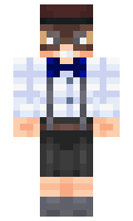 Napest minecraft skin