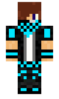 domis minecraft skin