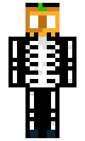 380866db06d949 minecraft skin
