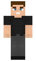 hank minecraft skin
