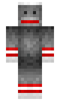 prl minecraft skin