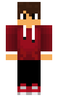 TBRaider minecraft skin