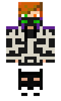 38d5382b72628d minecraft skin