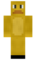 grgr minecraft skin