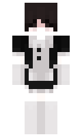 Qssh minecraft skin