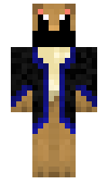 illinformed minecraft skin