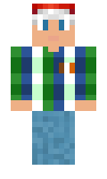 39116bae120660 minecraft skin