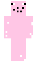 Qqiwin minecraft skin