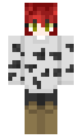 helpimleahinside minecraft skin