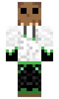 392a787c4893f4 minecraft skin