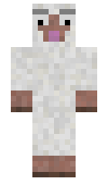 392fd5843a99fa minecraft skin