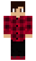 PersonOctupleX minecraft skin