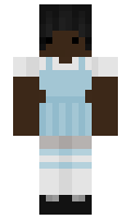 3940ed97a1a0b0 minecraft skin