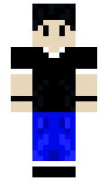 gili minecraft skin