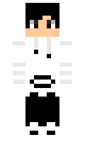 zbrBrock minecraft skin