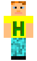 holekl minecraft skin