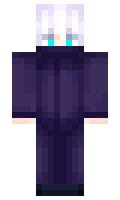 NotEnoughRNG minecraft skin