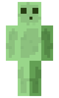 poox minecraft skin