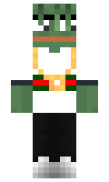 door minecraft skin