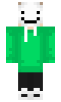 enderdragonxs minecraft skin