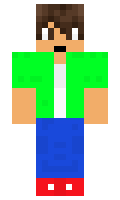 ertor minecraft skin