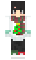 3a30b428735281 minecraft skin