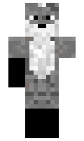 dras minecraft skin