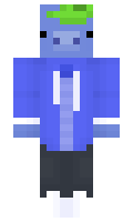 spwqshyy minecraft skin
