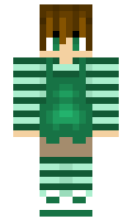 3a73297d204f1e minecraft skin