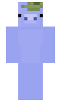 Discord minecraft skin