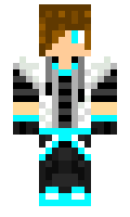 proplayer2013 minecraft skin