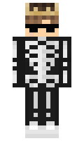 ndxd minecraft skin