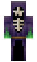 Hansie0 minecraft skin